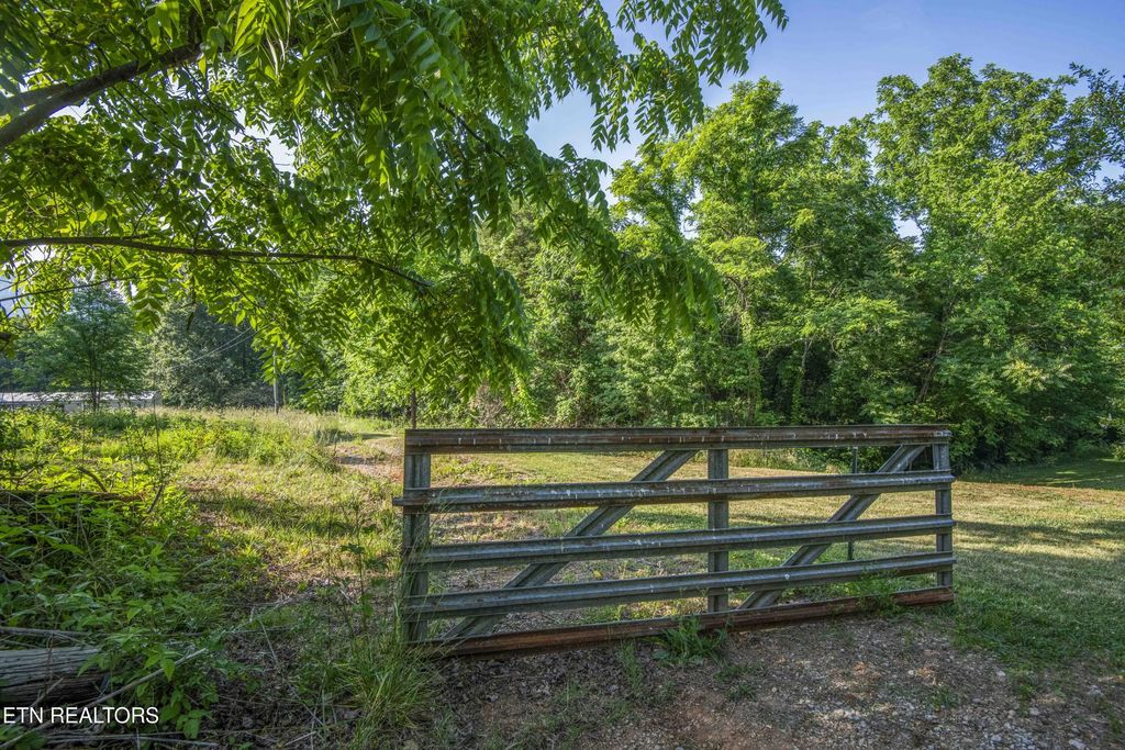 Wood Lane, Luttrell