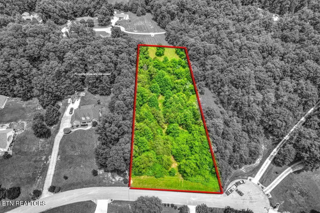 Stone Ridge Drive, Andersonville