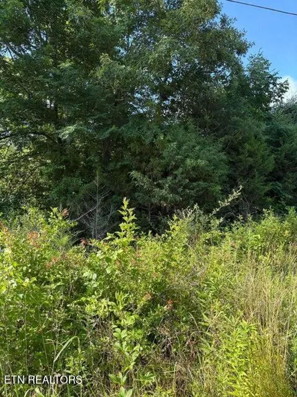 Lot 6 Old Furnace Rd, Tellico Plains