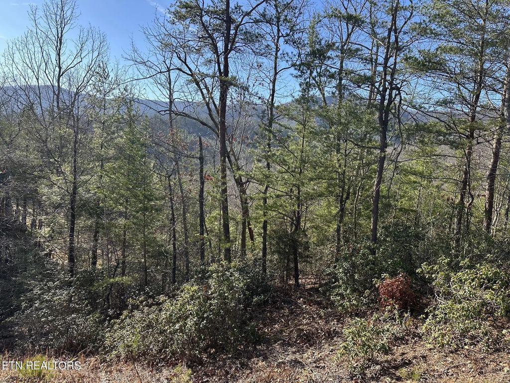 1306 Morning Dove Way, Sevierville
