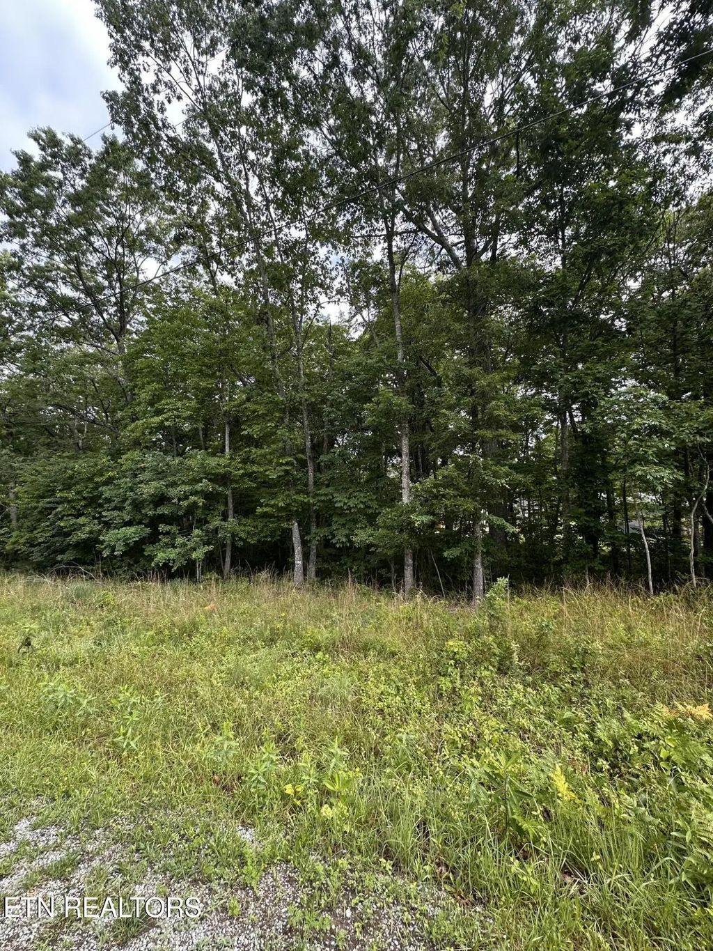 2020 Piute Rd, Crossville