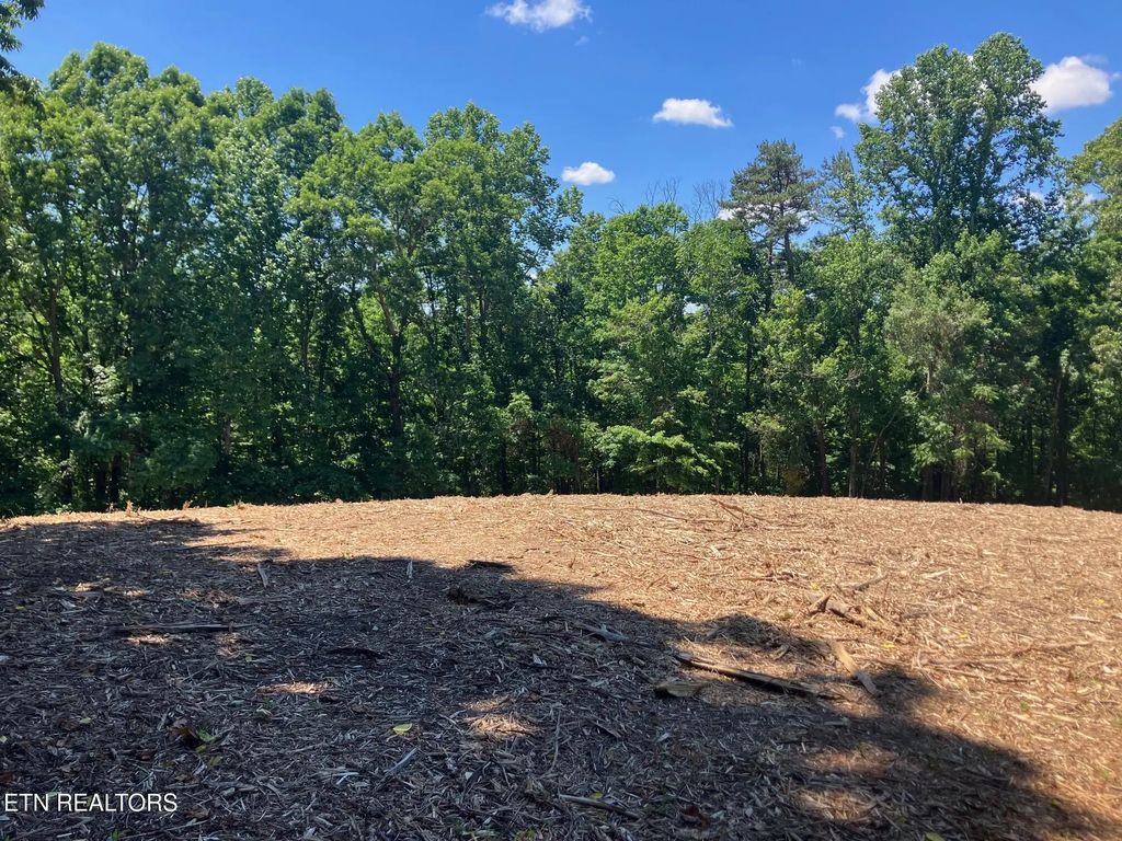 Tract 2 Graves Hollow Rd, Maynardville