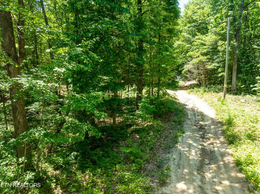 5941 Bobcat Tr, Tallassee