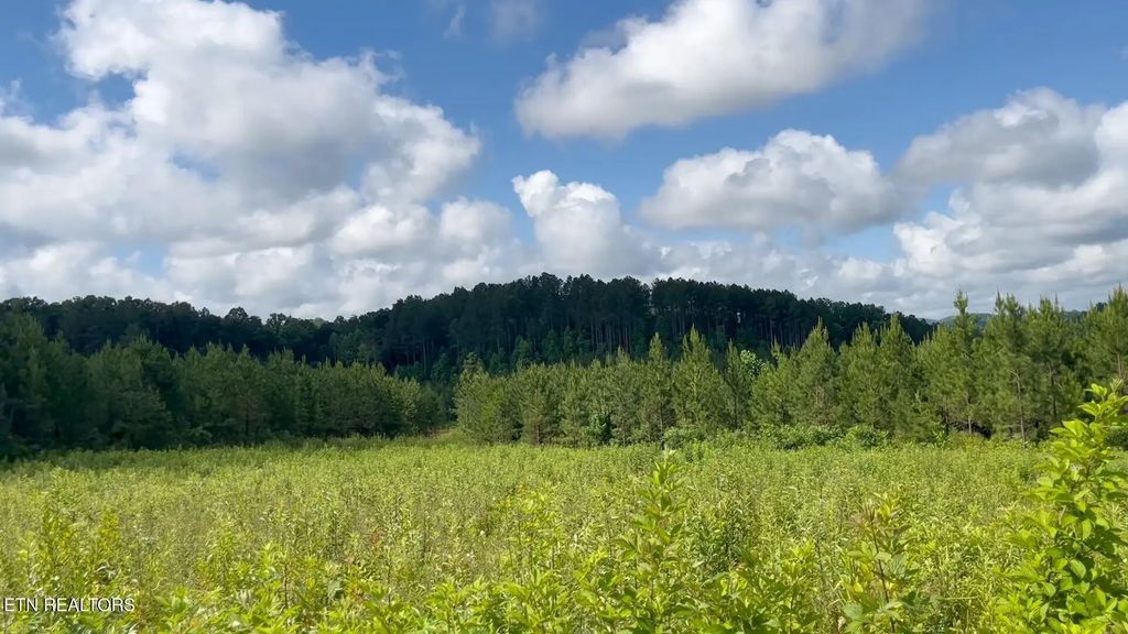 Three Point Rd, Madisonville