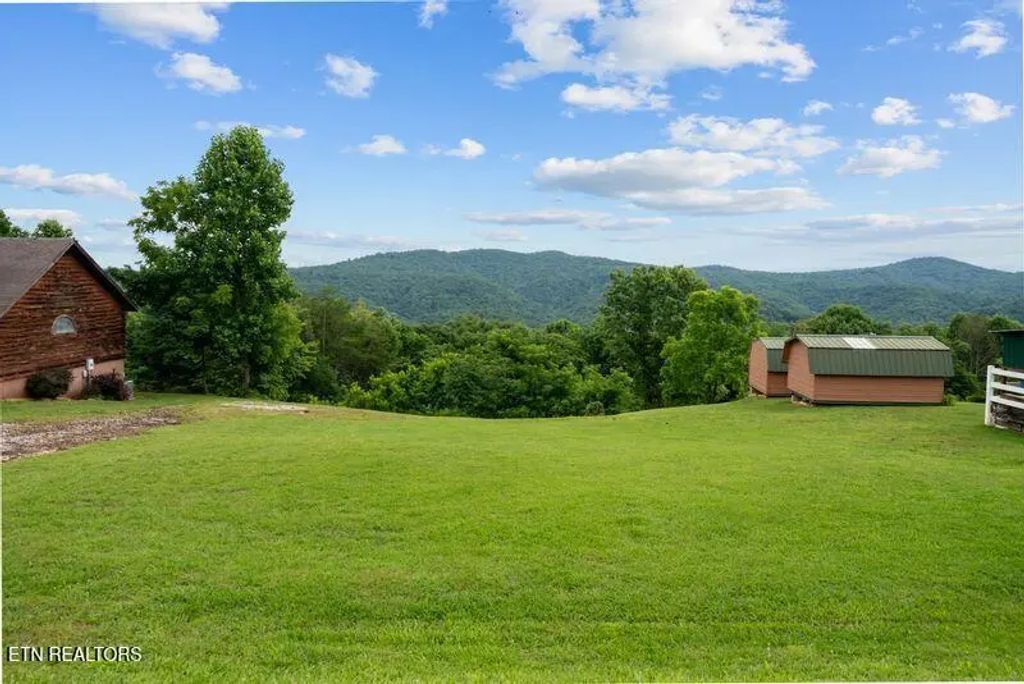 976 Livingston Boat Dock Rd, Allons