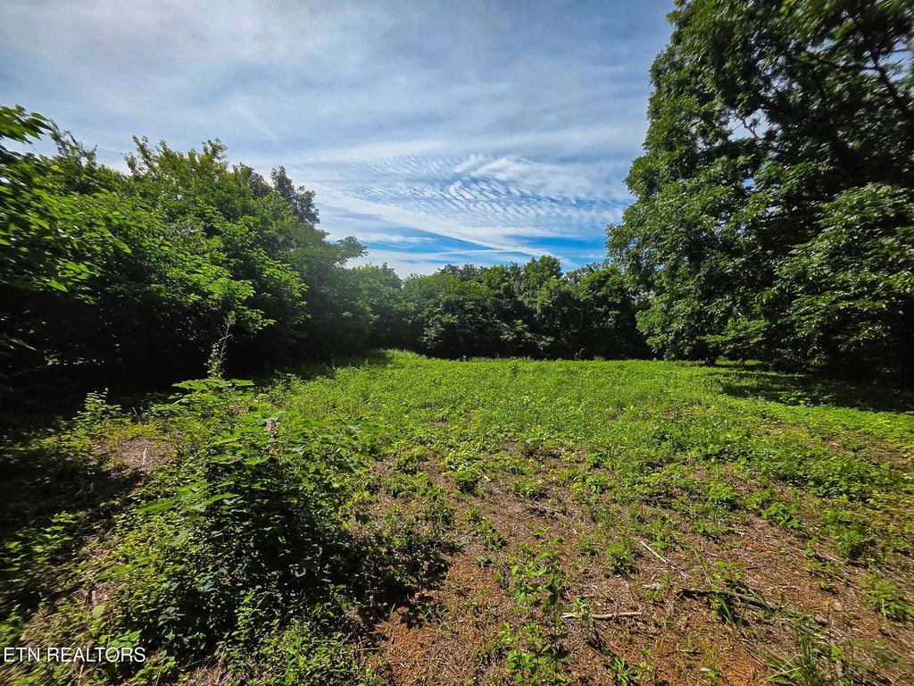 7120 Terry Drive, Knoxville