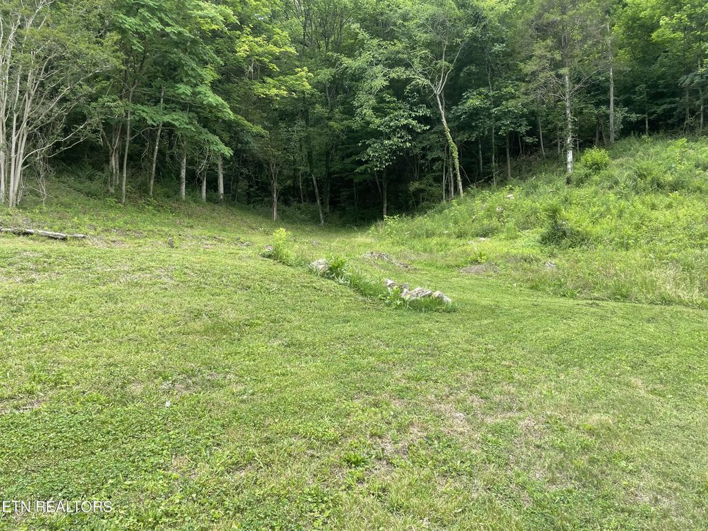 3901 Greenway Drive, Knoxville