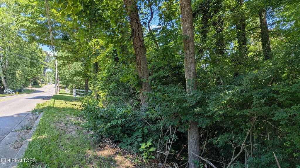 Lot 27 Cedar Lane, Knoxville