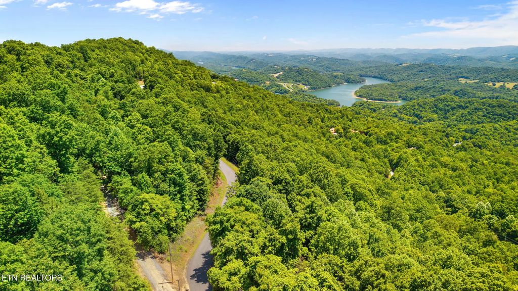 Clinch View Rd 209, New Tazewell