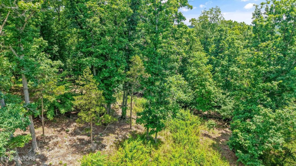1499 Dogwood Valley Rd, Kingston