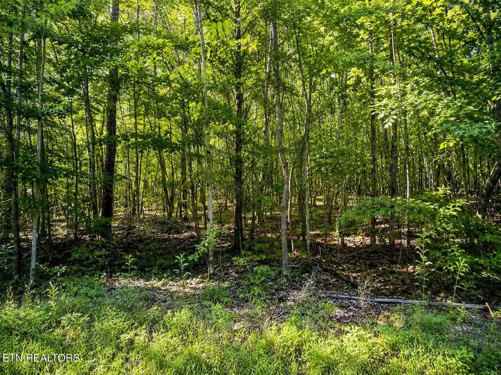 Lot 5 Keylon Hollow Road, Ten Mile