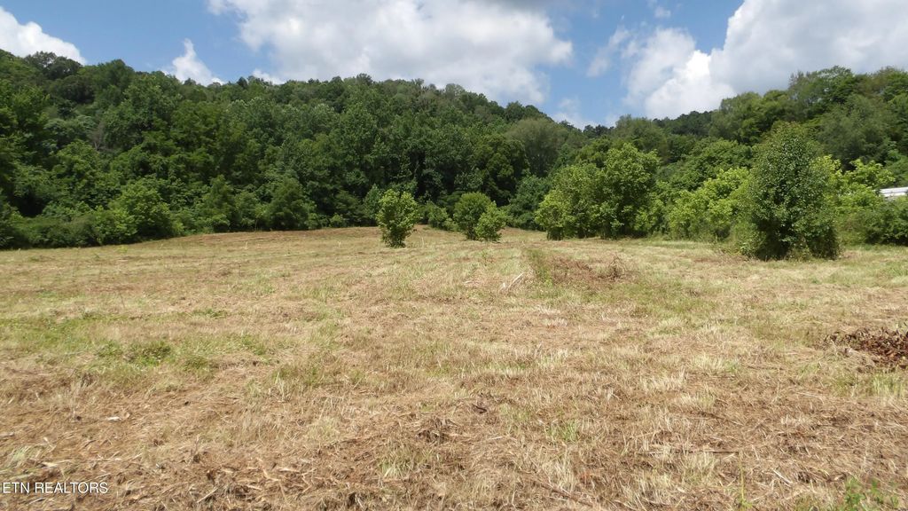 5.6 Ac Lonnie Reecer Rd, Celina