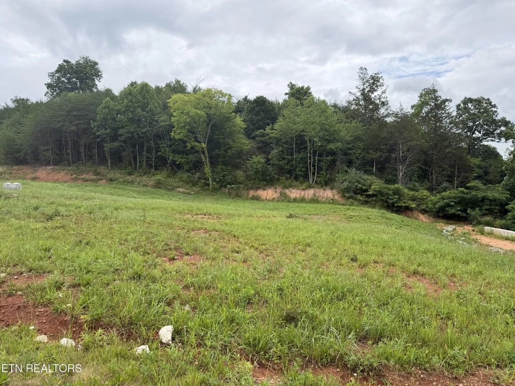 Bear Lane, Tellico Plains
