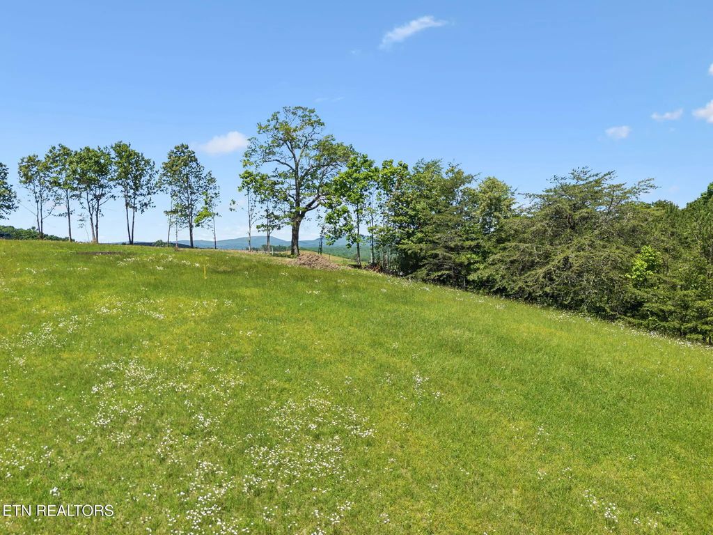 1460 Big Neck Rd, Grandview