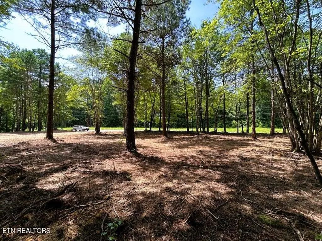 34 Acres State Highway 304, Ten Mile