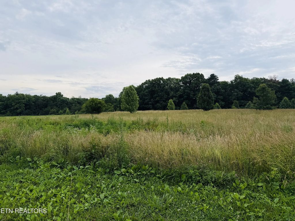 9.8 Acres Tyler Tr, Jamestown
