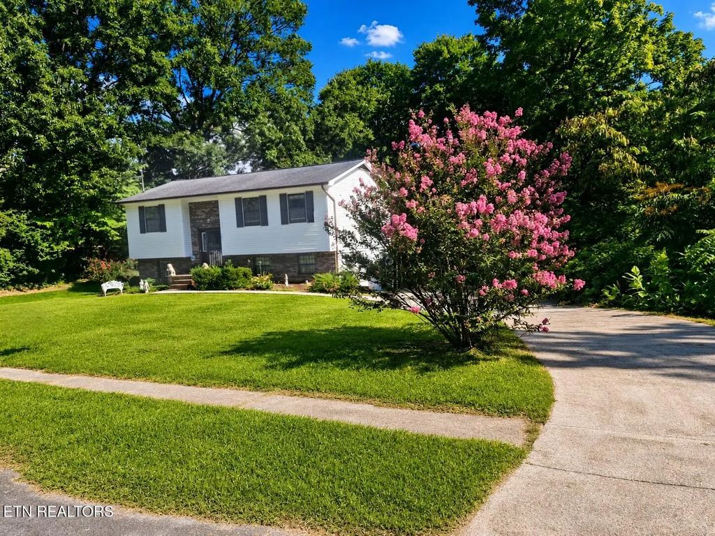 161 Hilltop Lane, Norris