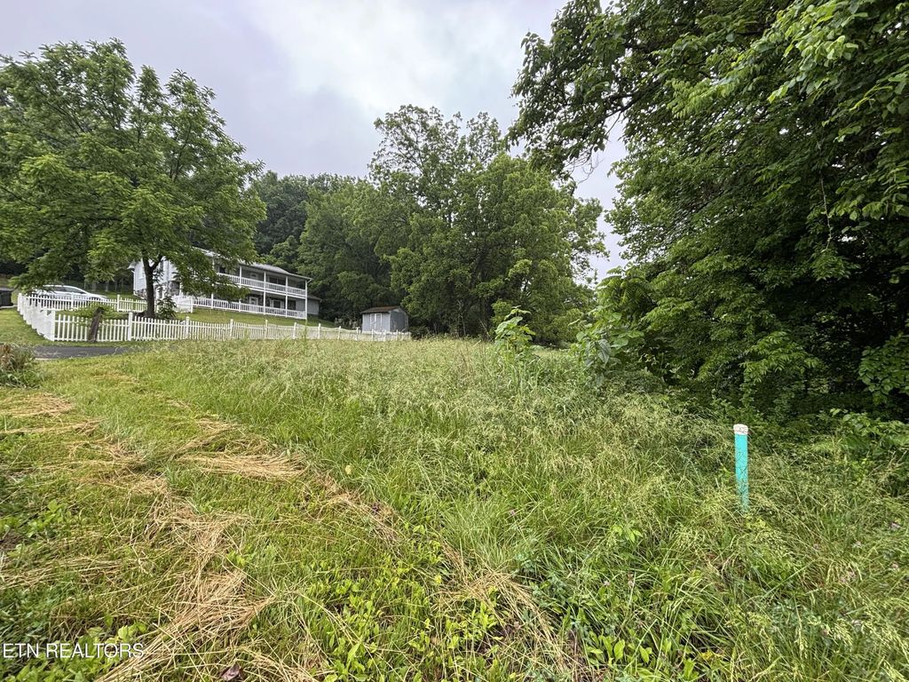 Morrell Springs Rd, Newport