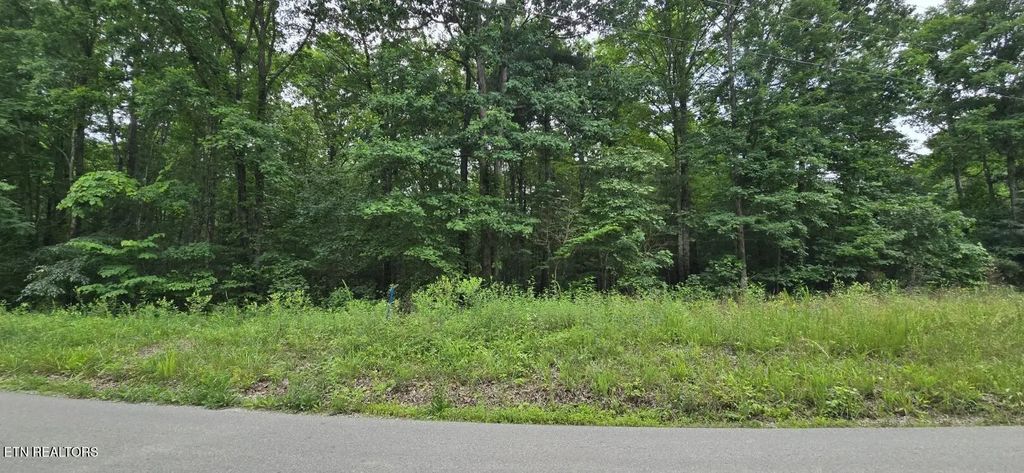 Lot 48-49 Bear Creek Rd, Winfield