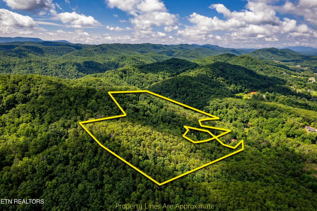154 Poplar Road Rd, Tellico Plains