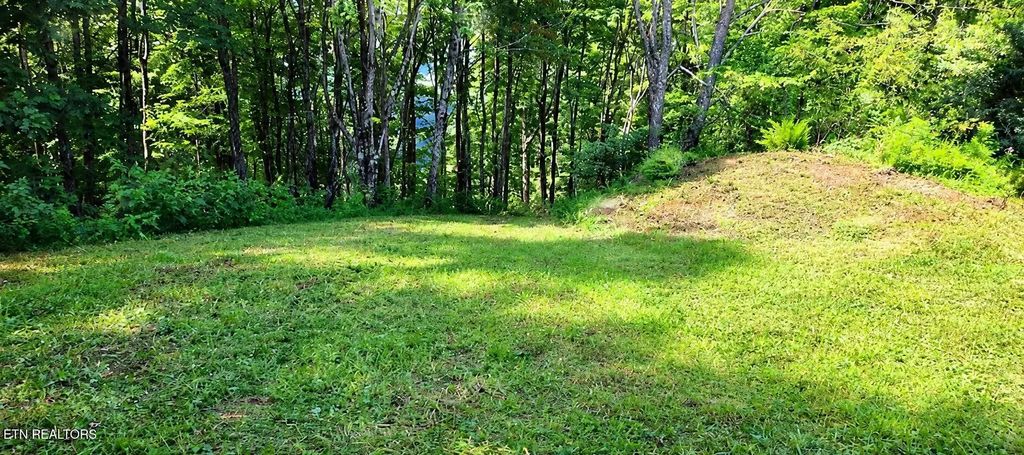 183 Persimmon Lane, Pioneer