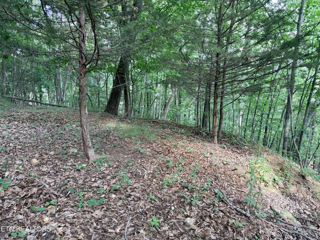 Lot 188 Chimney Rock Rd, New Tazewell