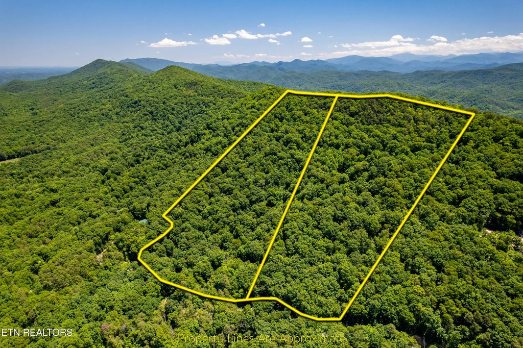 Butterfly Gap Rd, Maryville