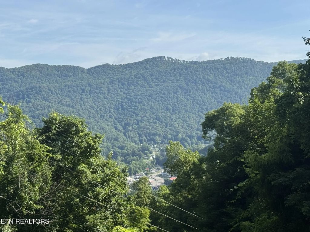 Tbd Wallens Ridge Rd, Big Stone Gap