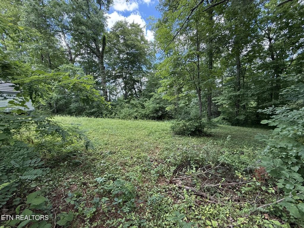 Shoreline Circle, LaFollette