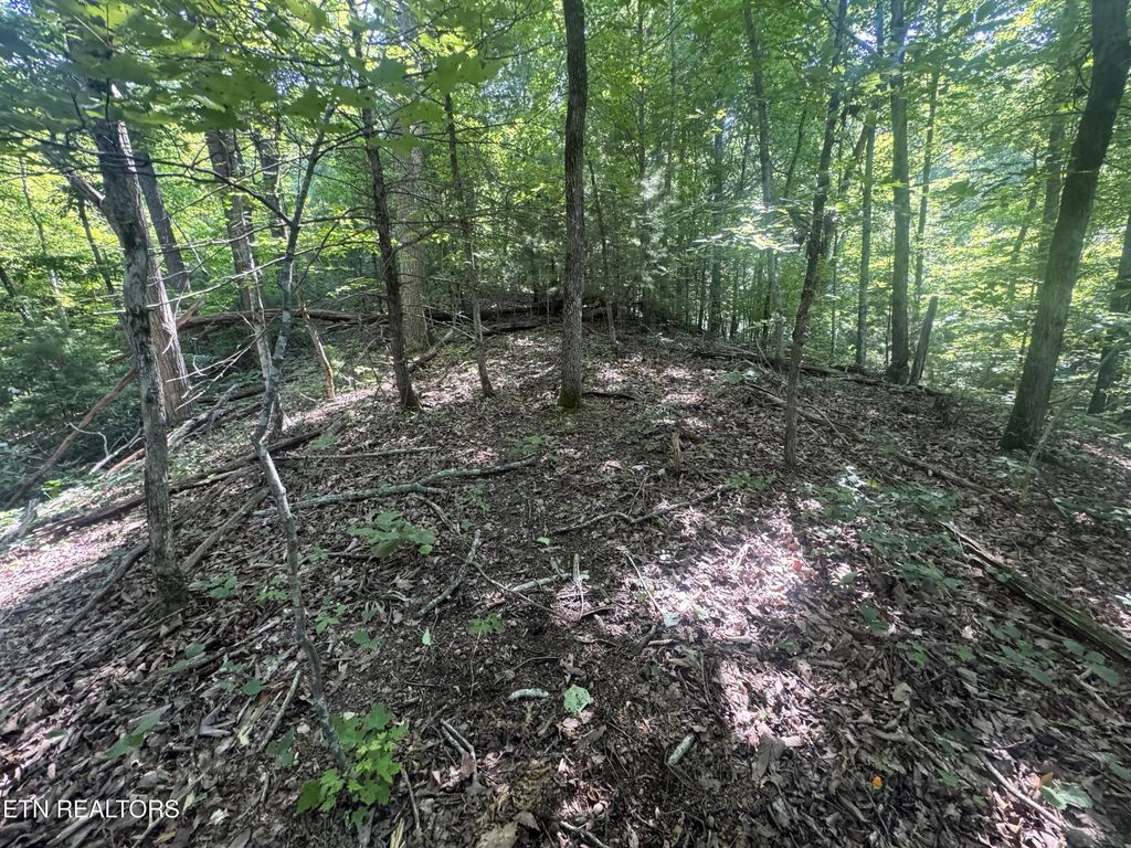 332 Padgett Mill Rd, Cosby