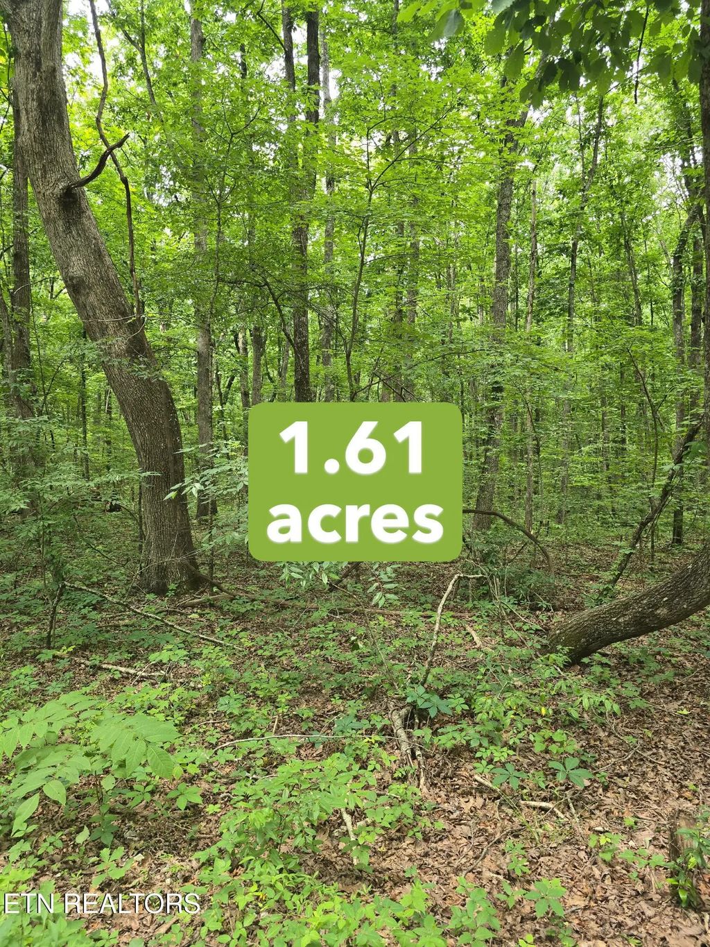 Lot 3 W Wind Way, Crossville