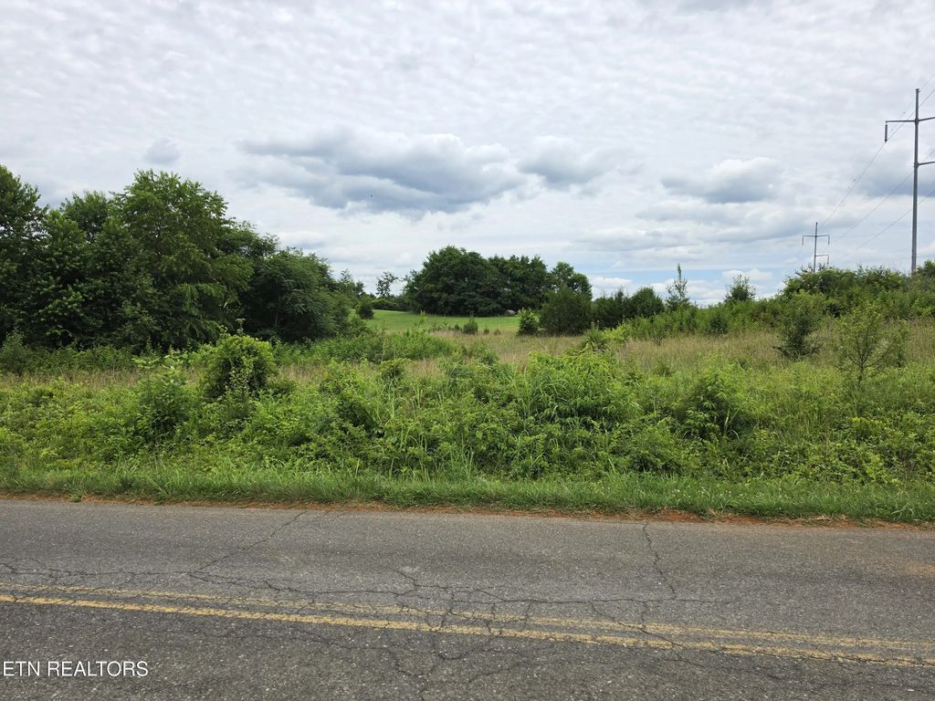 Baker Springs Rd, White Pine