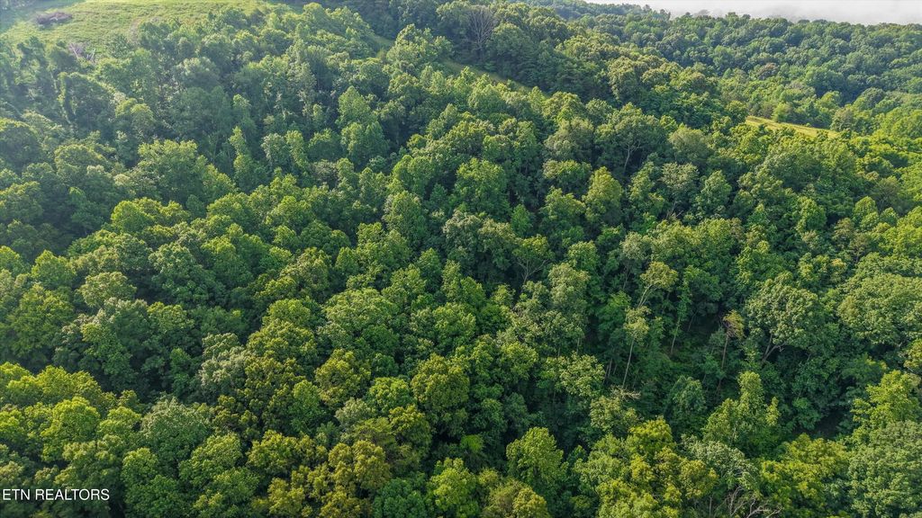 Lot 2 Graves Hollow Rd, Maynardville