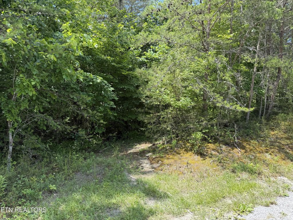 Mountain Shores Rd, Tazewell