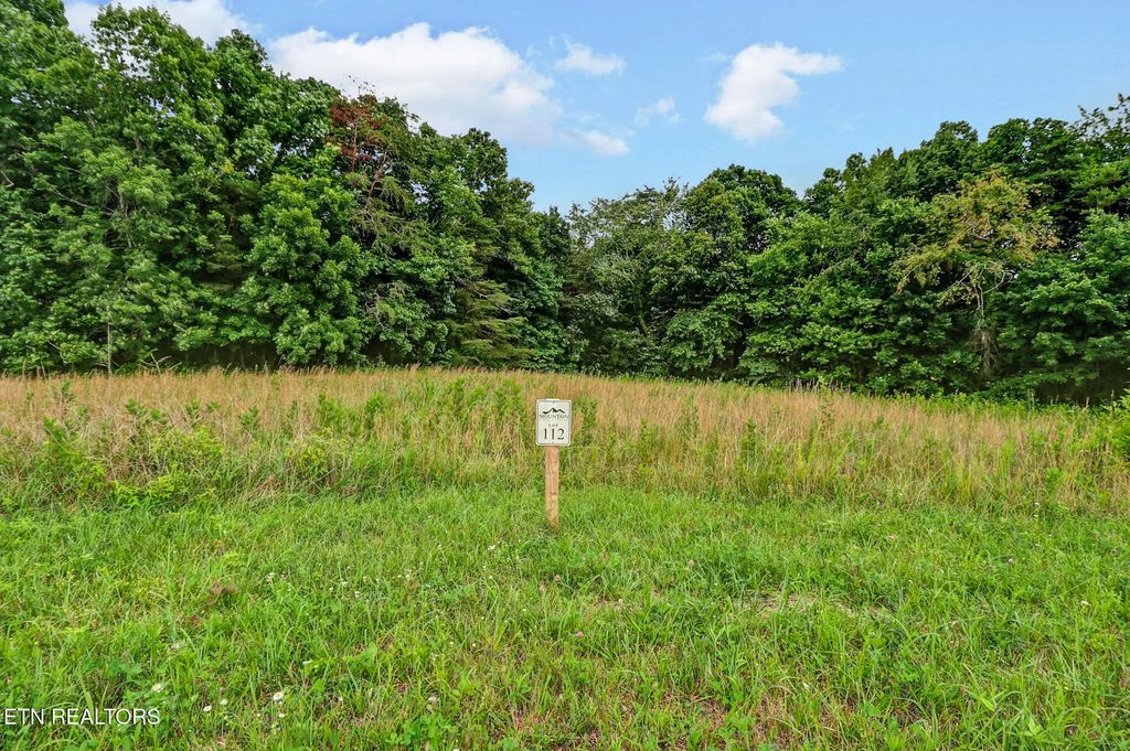Suzie Court, Crossville