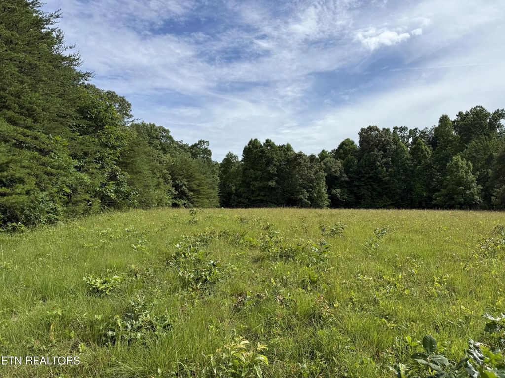 Clear Creek Rd. 41 Acres, Crossville