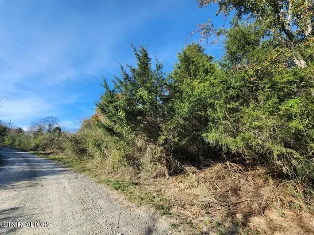 Shuler Drive, Pennington Gap
