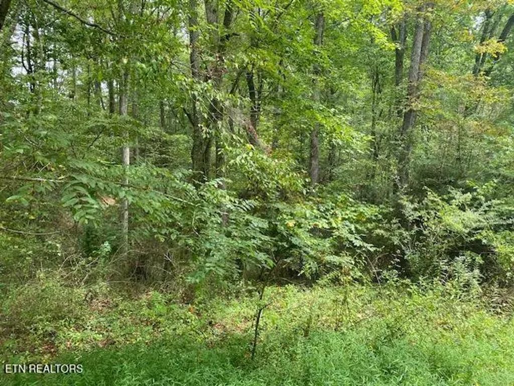 35 Ottoma Drive Lot 35, Crossville