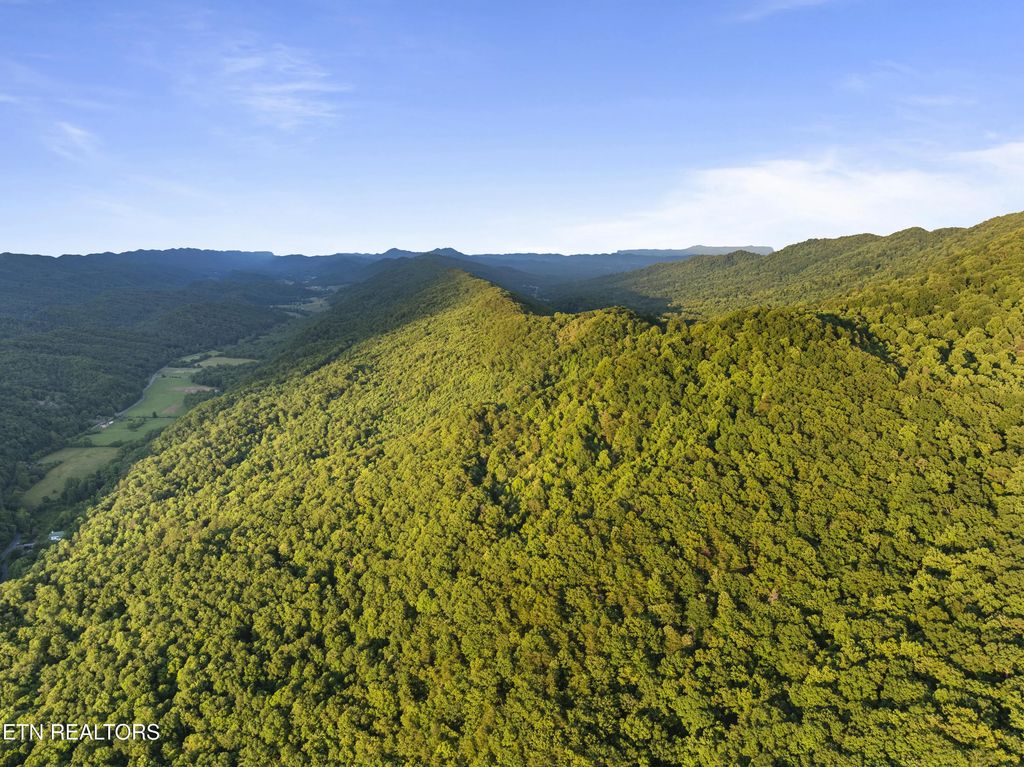 Spruce Pine (330 Acres) Rd, Mooresburg
