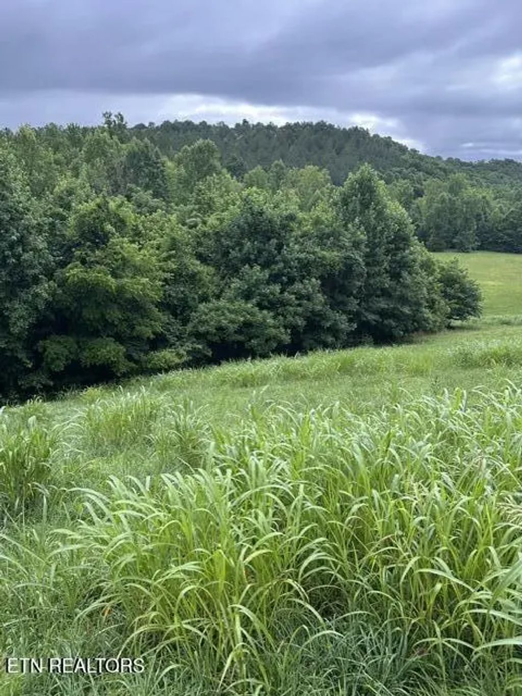 Mill Drive, Decatur