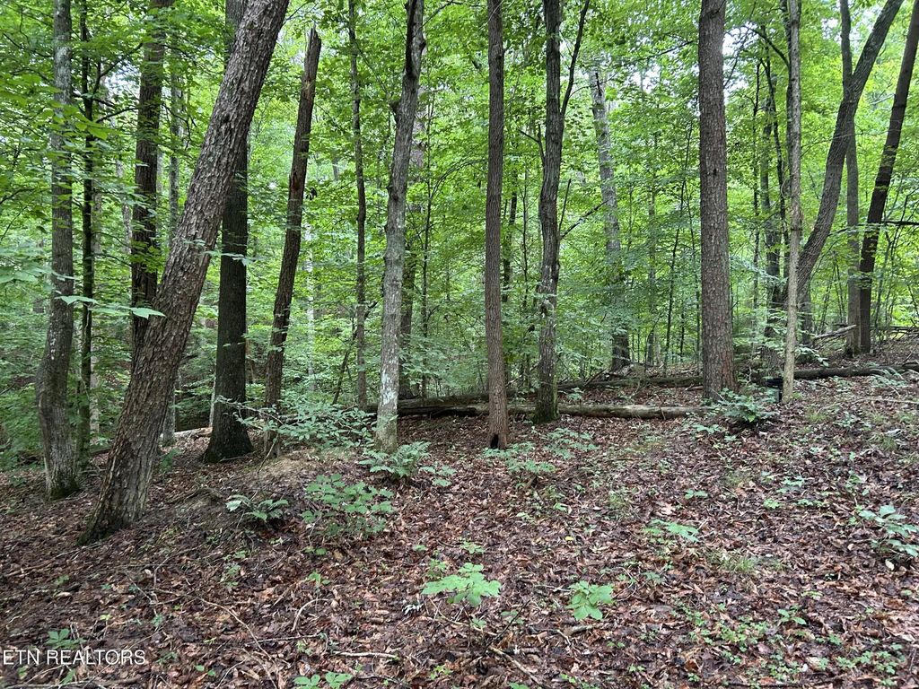 223 West Snowflake Rd, Surgoinsville