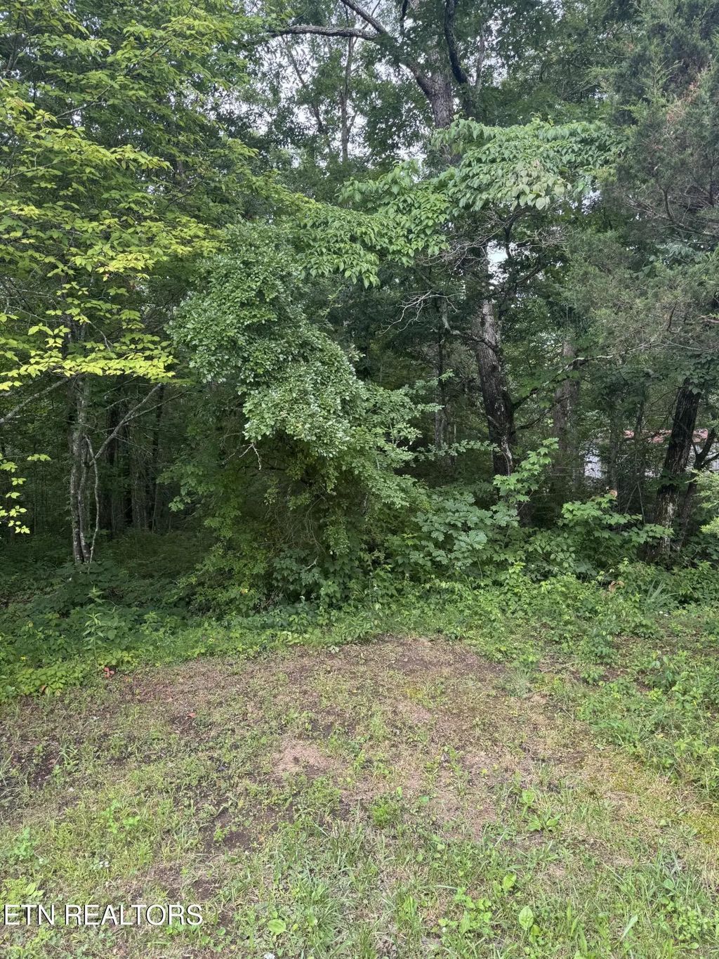 Timothy Drive, Crossville