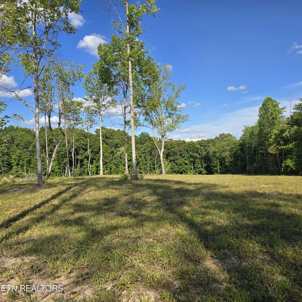 80+/- Ac Red Hill Rd, Sunbright