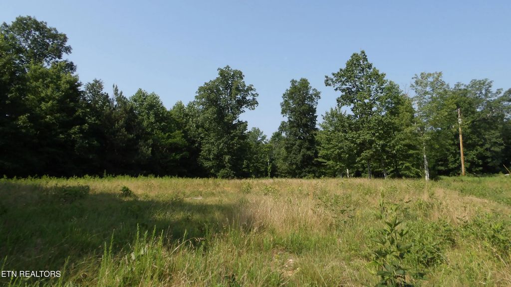 580 Pleasant Cemetery Lane, Gainesboro