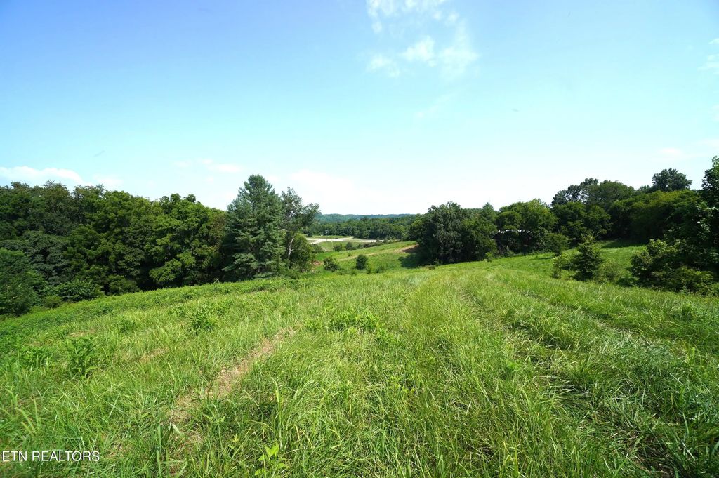 Old Greeneville Hwy, Parrottsville
