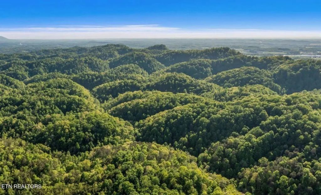 County Road 484, Etowah