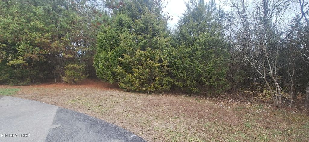 Raintree Lane, Kingston