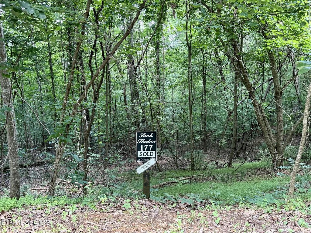 Lot 177 Moonstone Lane, New Tazewell