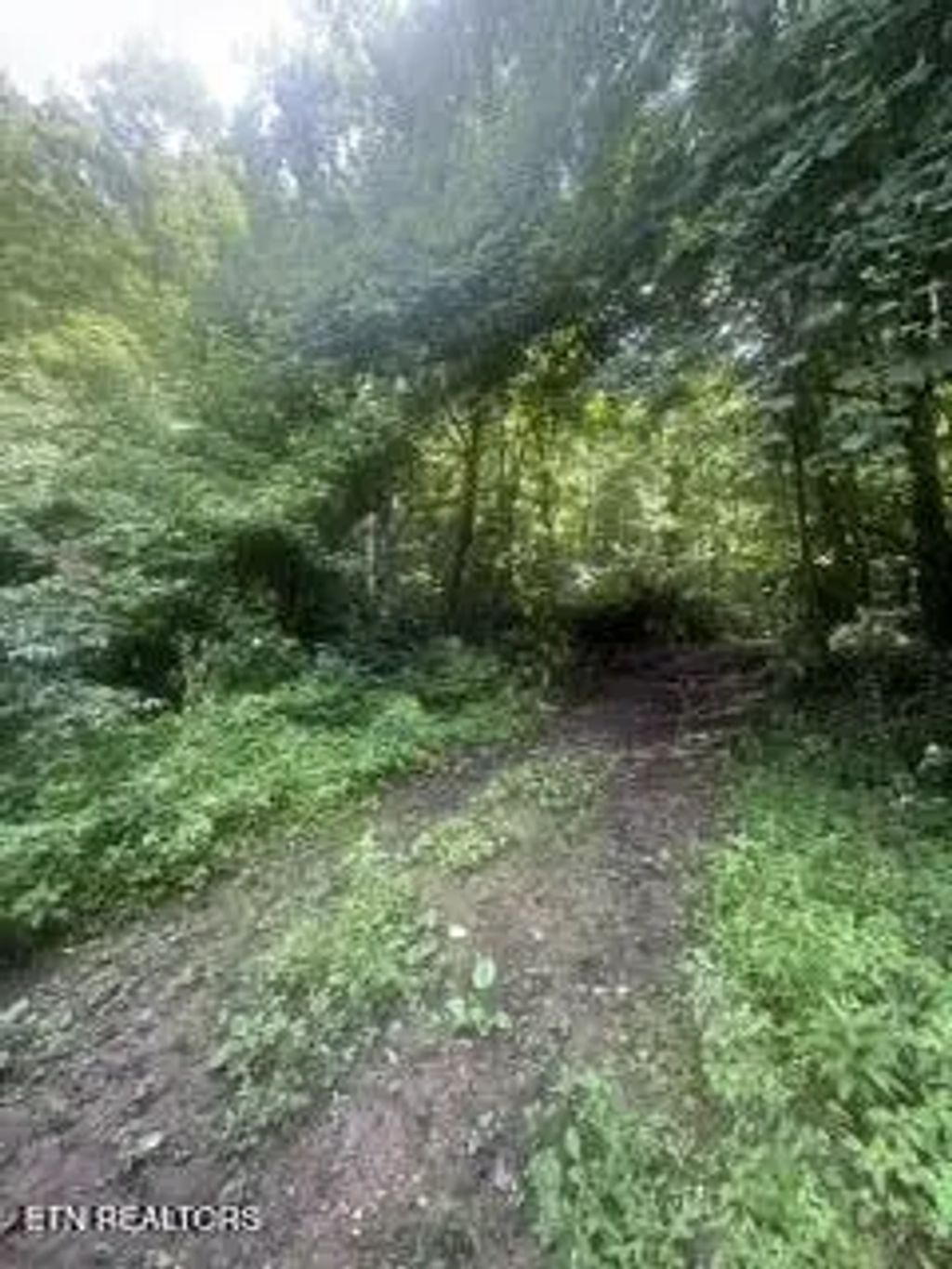 Ailor Dr Off Drive, Maynardville