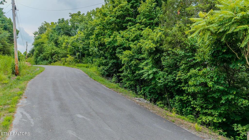 Lot 35 Fishtail Cove, Dandridge